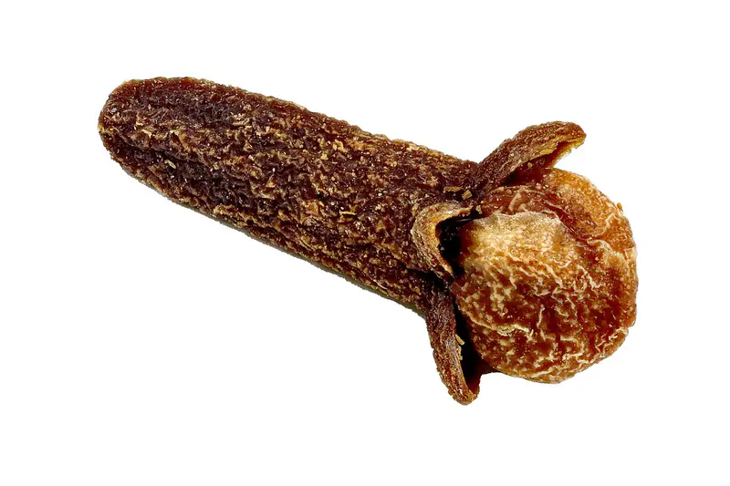 Clavo (Syzygium aromaticum)